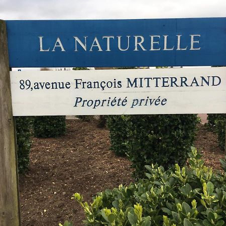 Vue Mer Sur La Cote D'Opale, Studio La Naturelle Pour 4 Personnes , ويميرو المظهر الخارجي الصورة